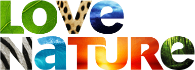 Love Nature TV